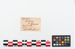 Etikett zu Goldfolienbeschlag (NHMW-PRAE-026400)